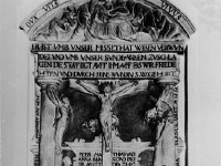 S17 Pestbild  S17_Pestbild.jpg